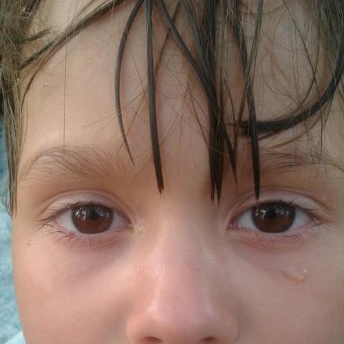 Photo #5264978