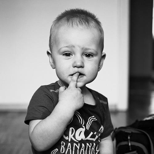 Photo #5265067