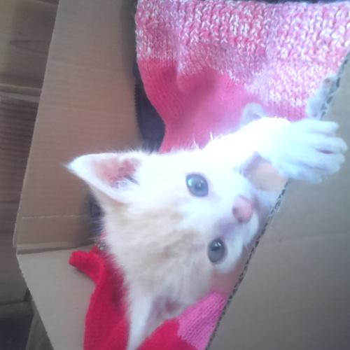 Photo #5265127