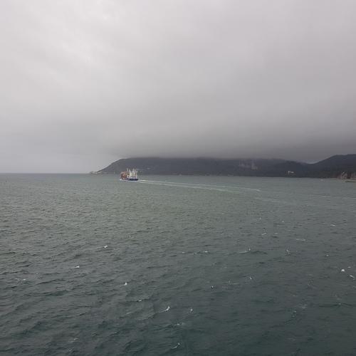 Photo #5265260