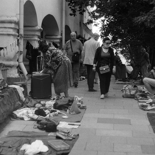 Photo #5265319