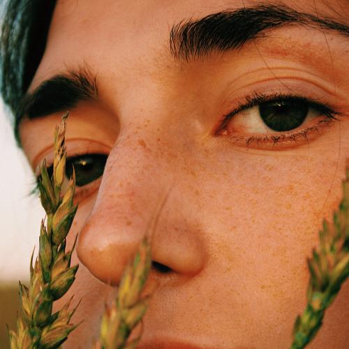 Photo #5265445