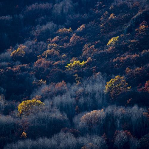 Photo #5265487