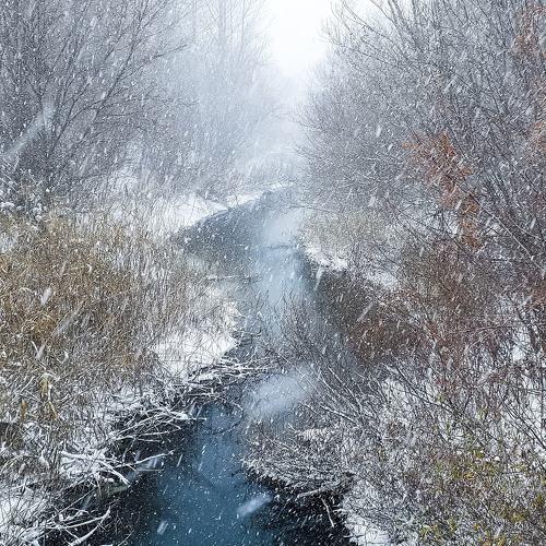 Photo #5265630