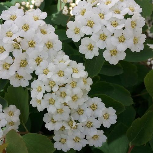 Photo #5265631