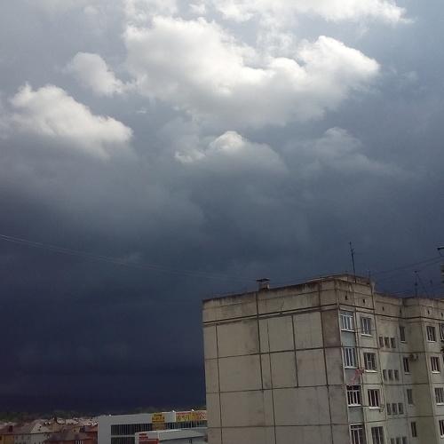 Photo #5265650