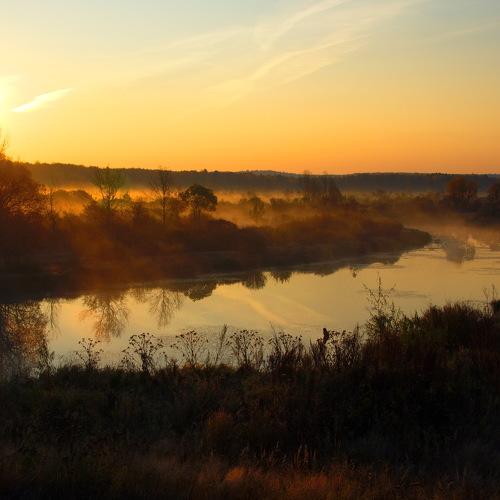 Photo #5265677