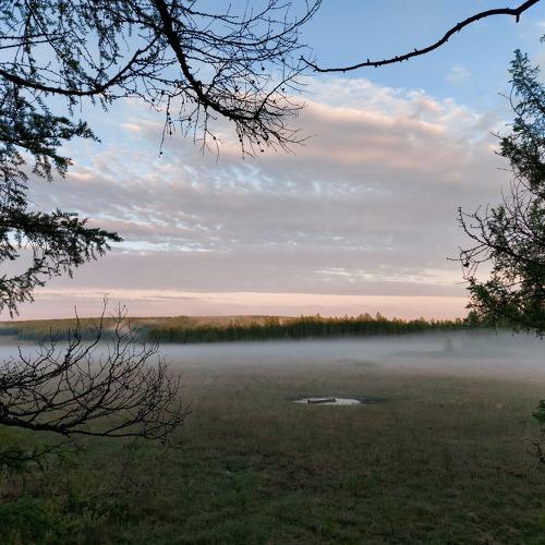 вечерняя зоря в тайге