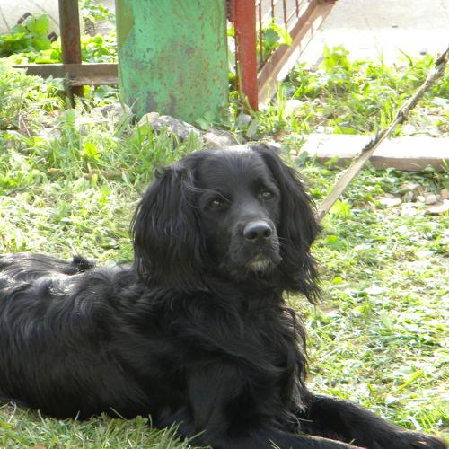 Photo #5265903