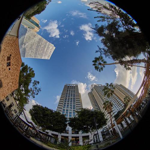 Photo #5265944