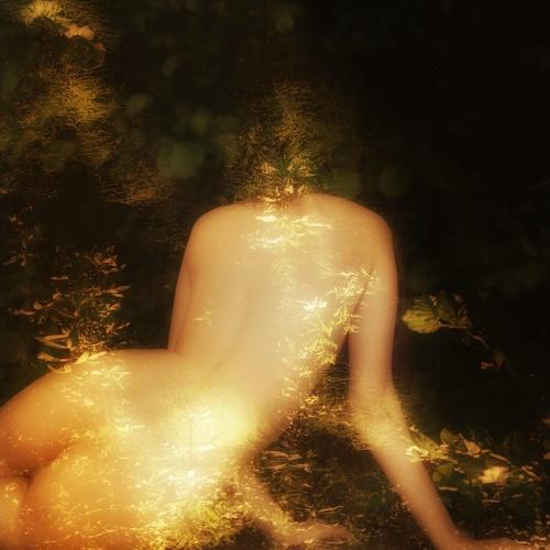 Photo #5266293