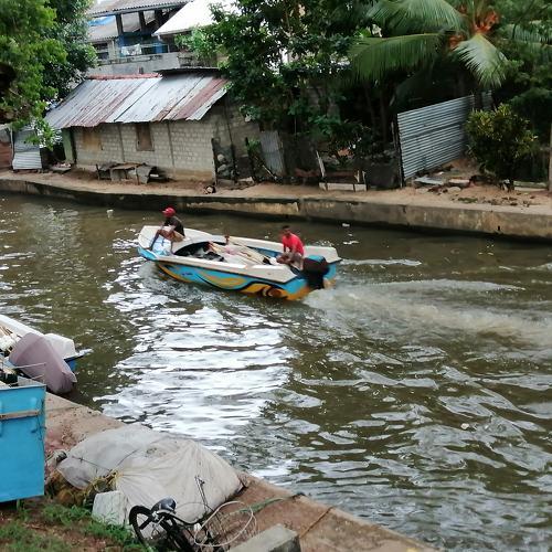 Life on waters