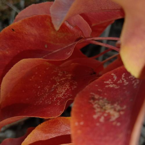 Photo #5266939