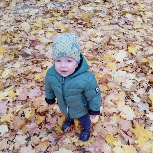 Photo #5267319