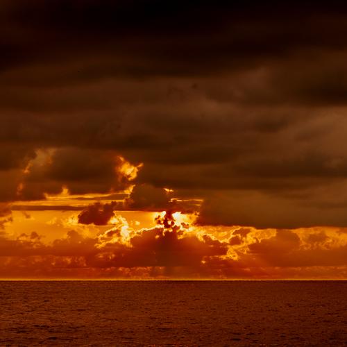 Photo #5267900