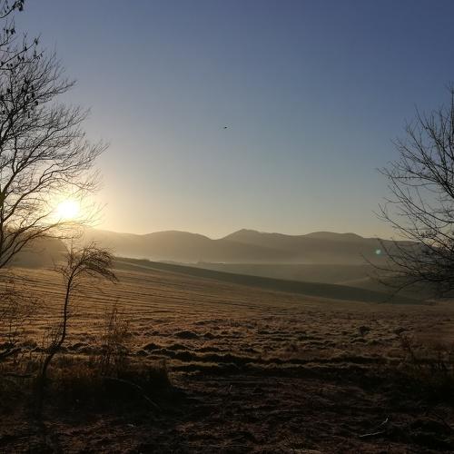 Photo #5267904