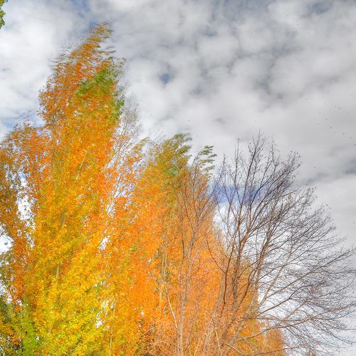 Photo #5268178