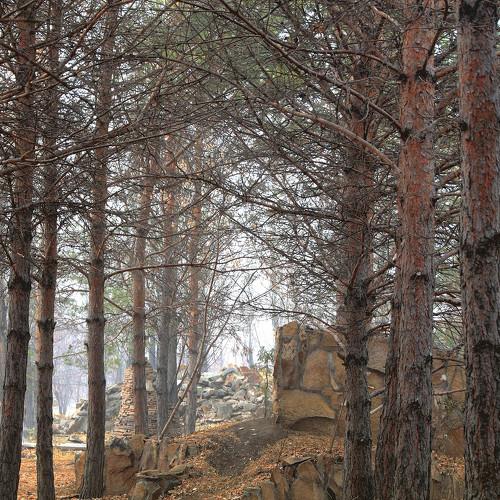 Photo #5268205