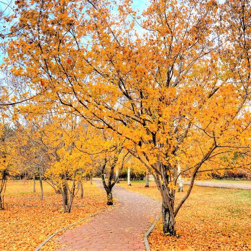 Photo #5268237