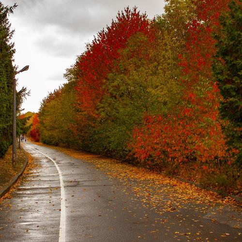 Photo #5268264