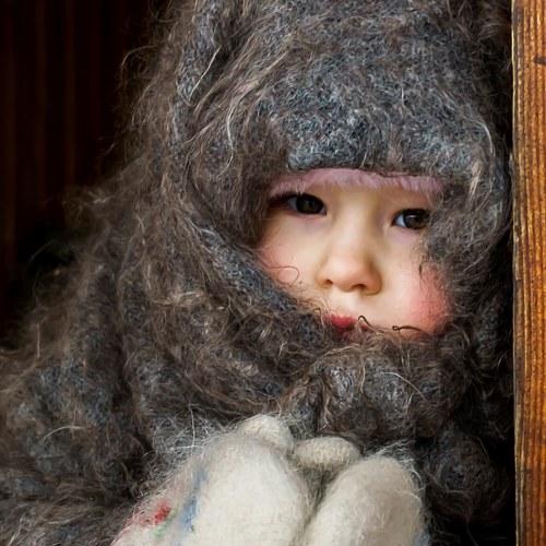 Photo #5268474