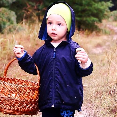 Photo #5268751