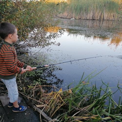 Photo #5268806