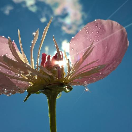 Photo #5269193