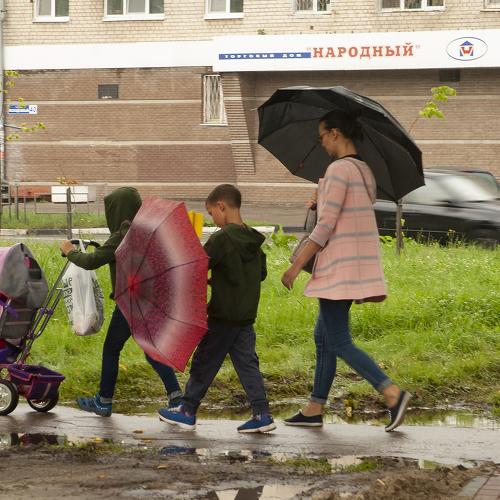 Photo #5269735