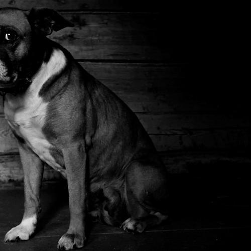 Photo #5270086