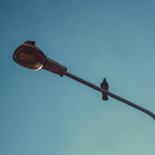 Photo #5270153