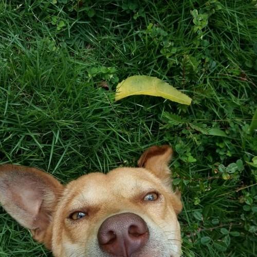 Photo #5270201