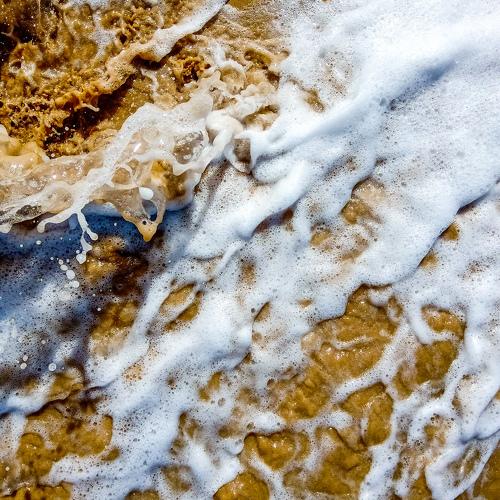 Photo #5270243