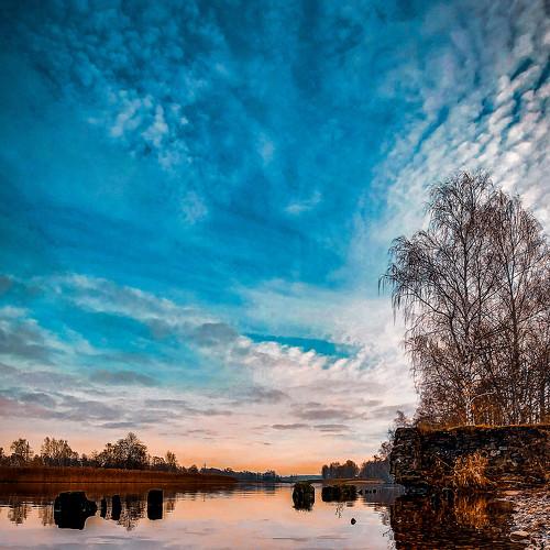 Photo #5270275