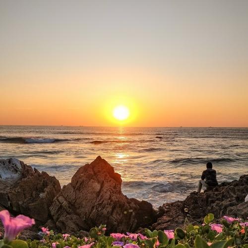Photo #5270361