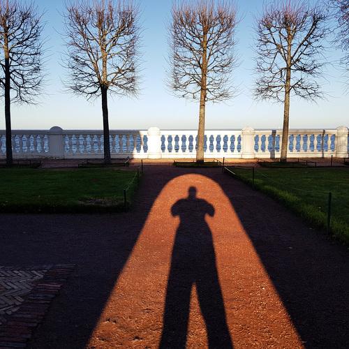 Photo #5270484