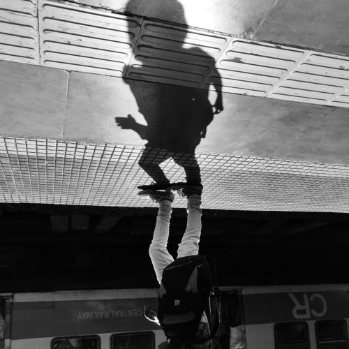 Photo #5270569