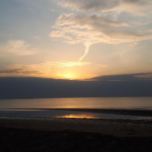 Photo #5271019