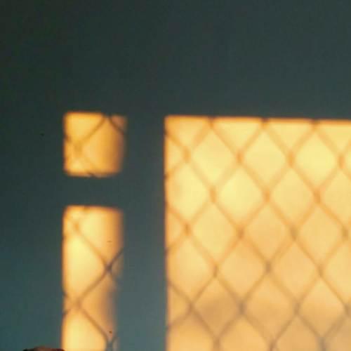 Photo #5271049
