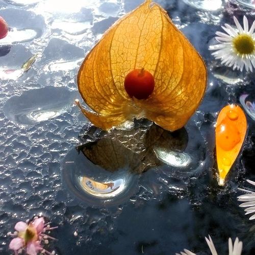 Photo #5271250
