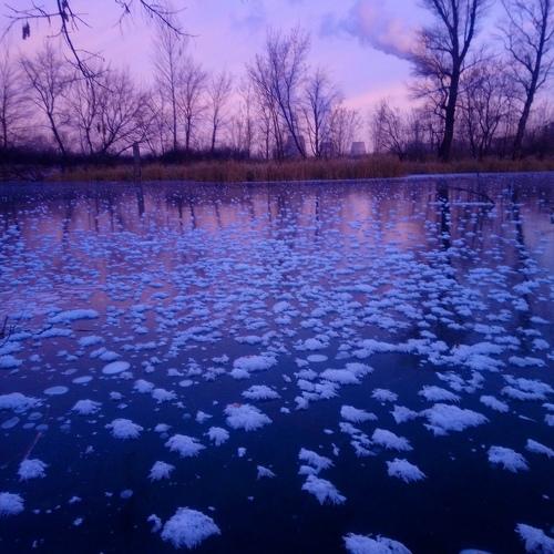 Photo #5271252