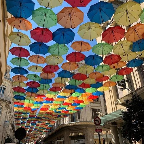 Photo #5271322