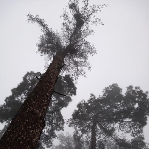 Photo #5271339