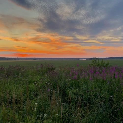 Photo #5271506