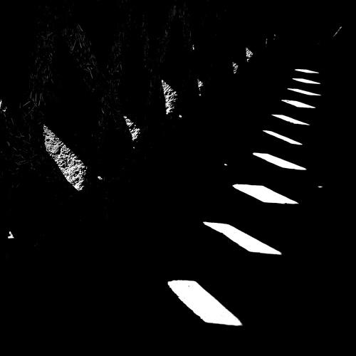 Photo #5271747