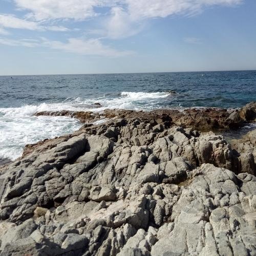Photo #5272266