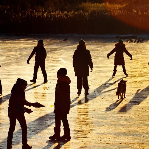 Photo #5272453