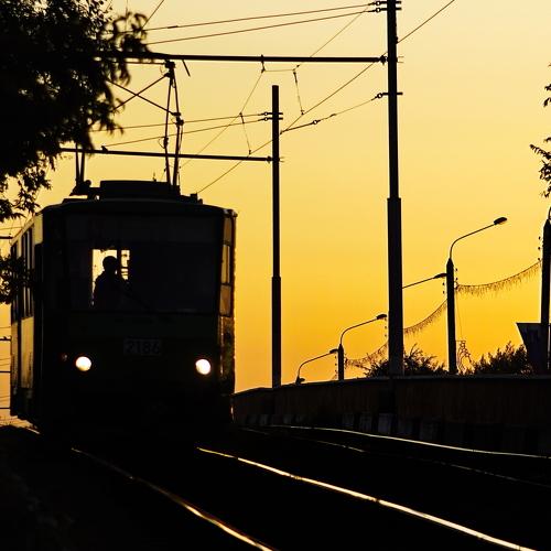 Photo #5272468