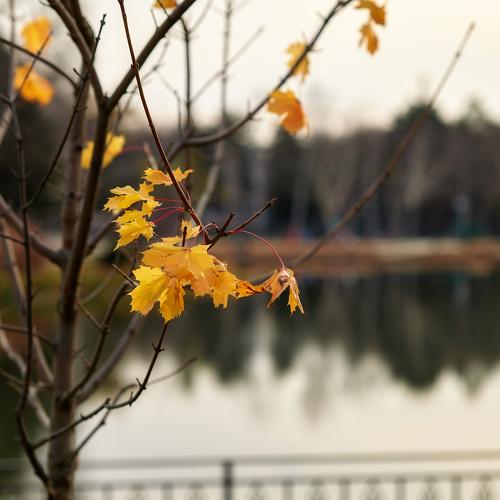 Photo #5272478