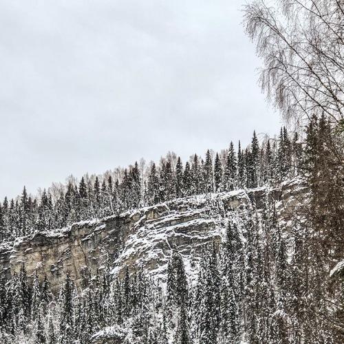 Photo #5272585